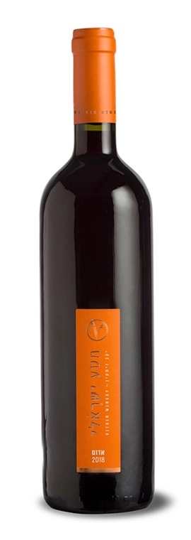 wines_vitkin_06.19