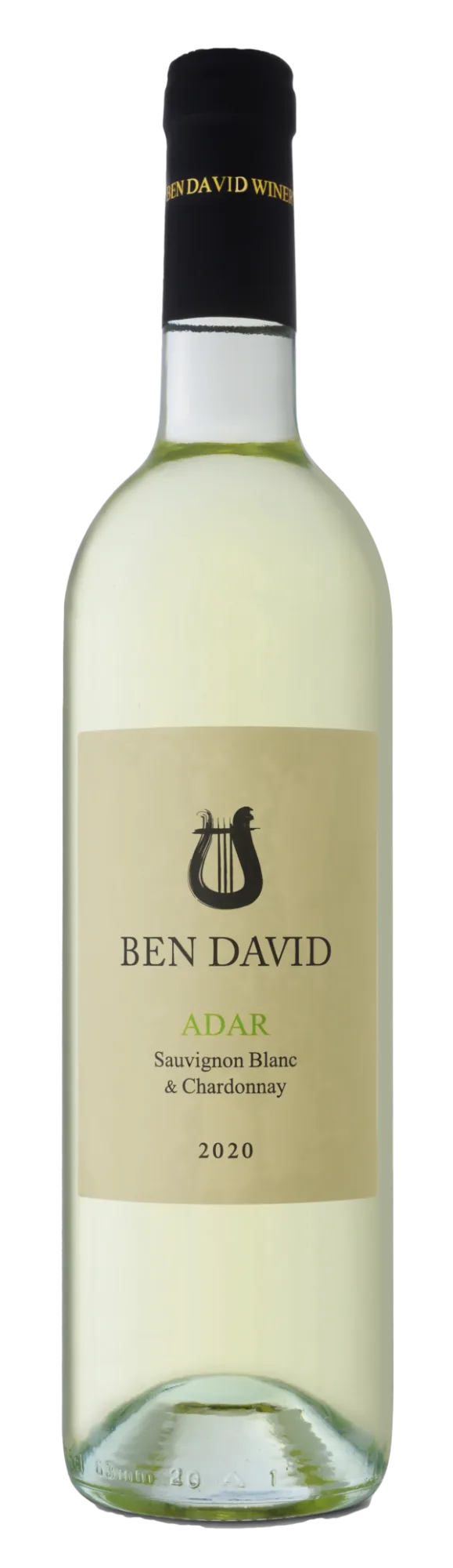 ben_david__adar_SB_chardonnay_20-600x2070